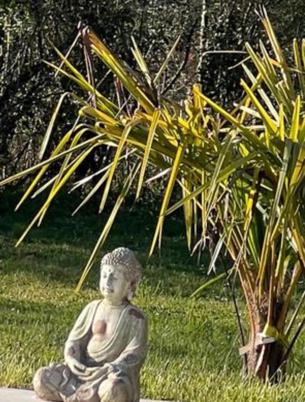 Chambre Au Jardin Tente De Charme Eguzon-Chantome Exterior foto